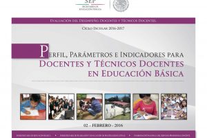 Perfil parametros e indicadores