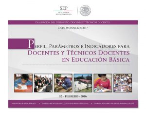 Perfil parametros e indicadores