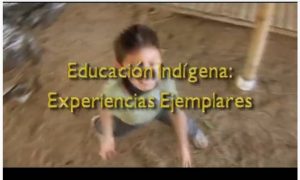 educación indígena