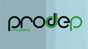 Prodep_basico