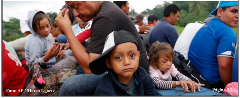 Elección y educación 2