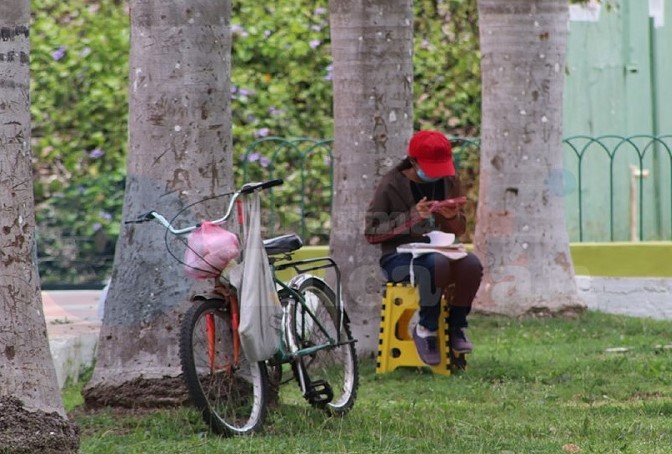 estudiante en linea