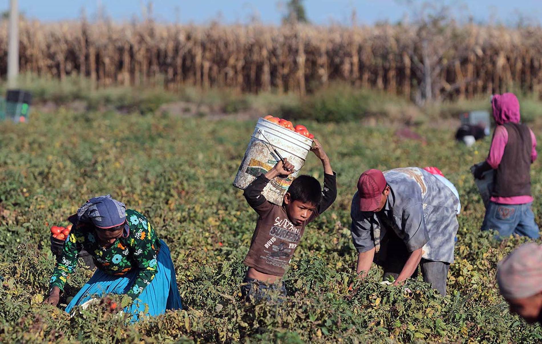 JORNALEROS DE YURECUARO. FOTO IGNACIO JUÁREZ LA JORNADA MICHOACÁN